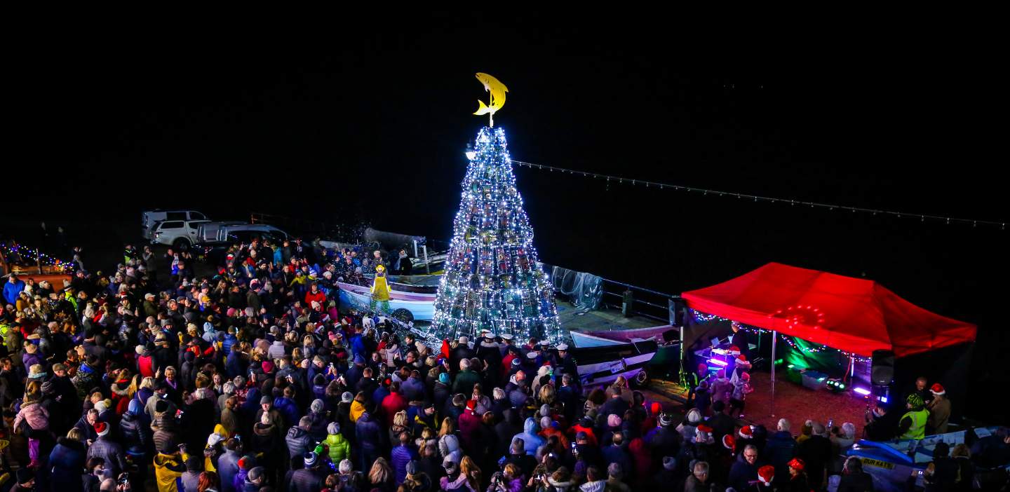 An image of Filey Fishtive Tree at night