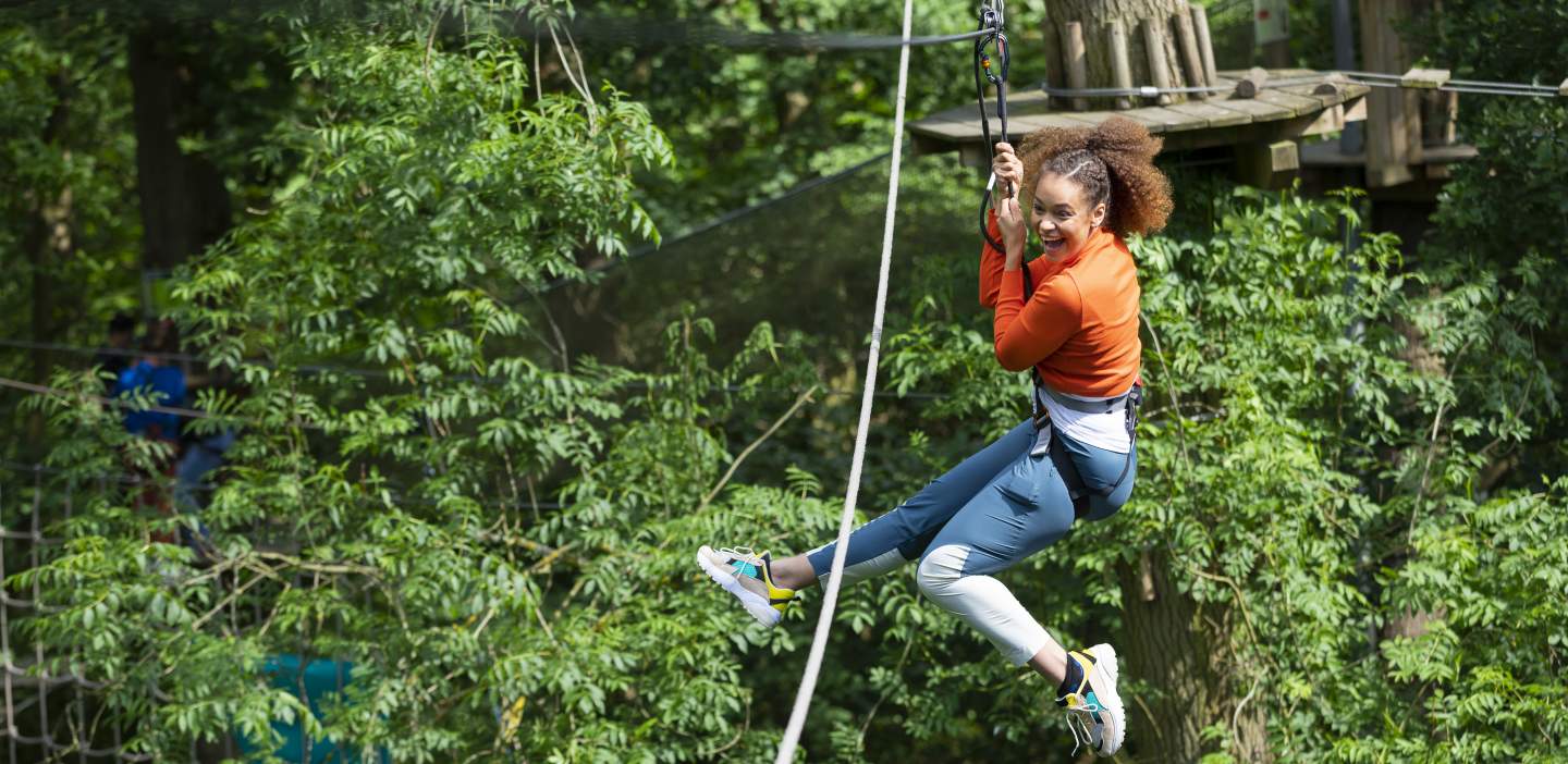 An image of the tree top adventure at Go Ape, Dalby Forest