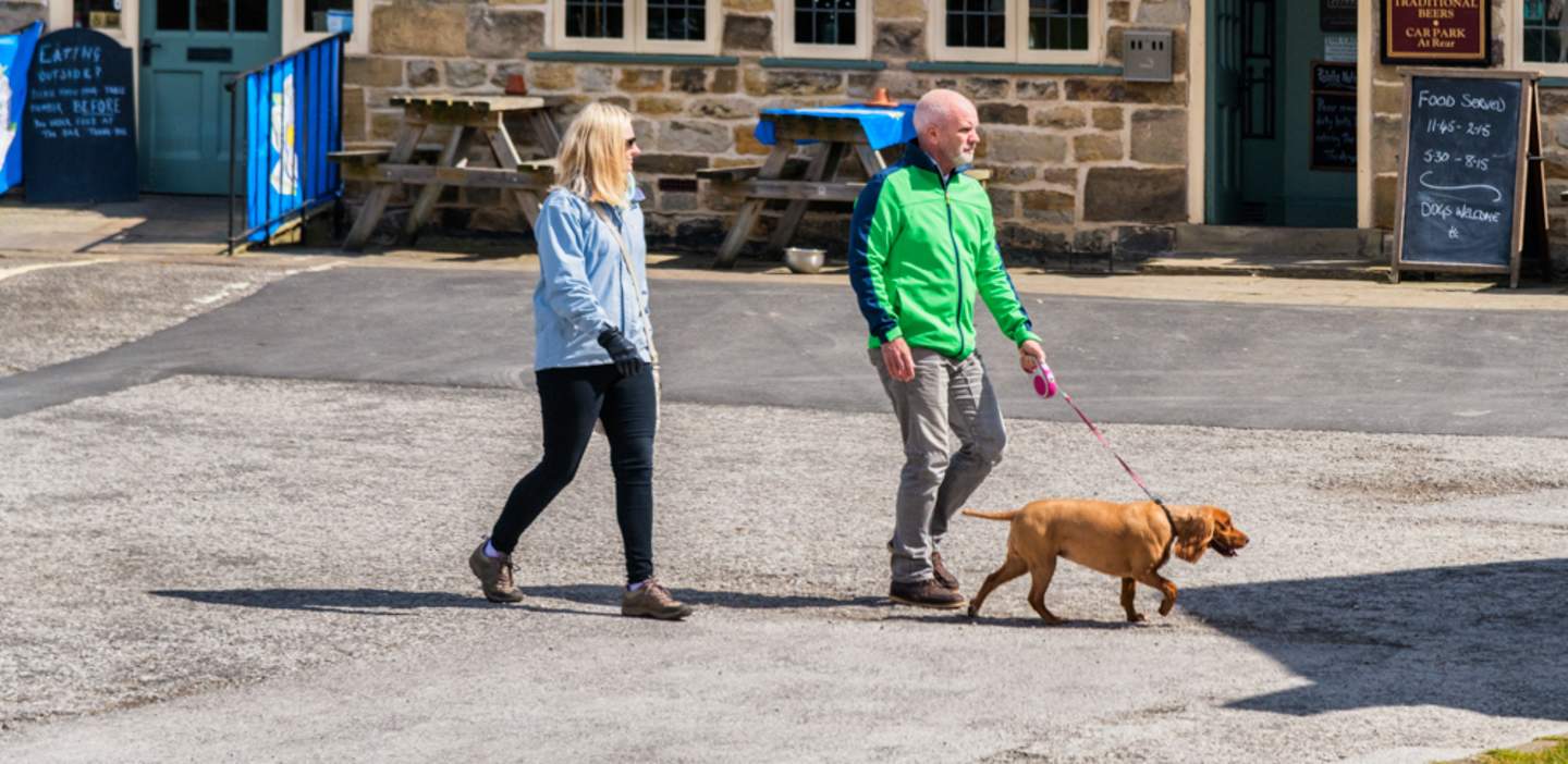 An image of Dog Walkers in Hutton-le-hole