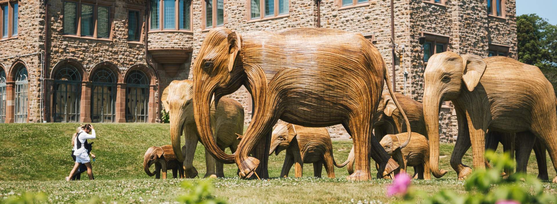 The Great Elephant Migration is Coming to Newport | 100 Life-Sized 
