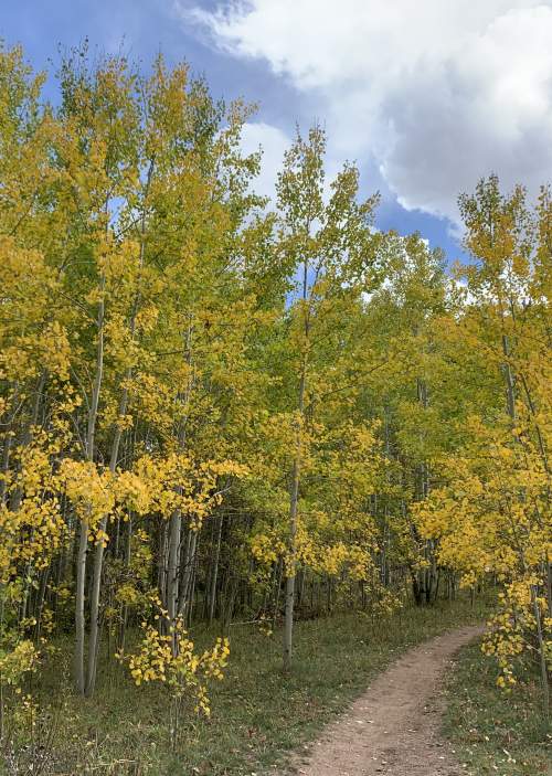 Trail Running Laramie Wyoming