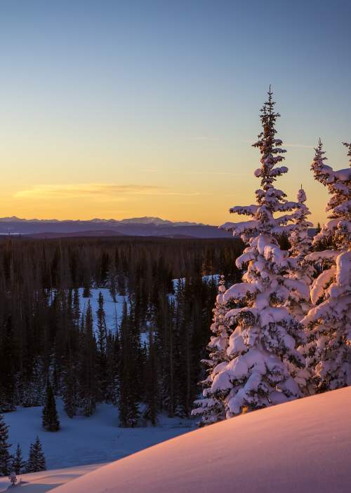 Winter Brooklyn Lake