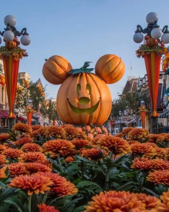 Disney Halloween Pumpkin