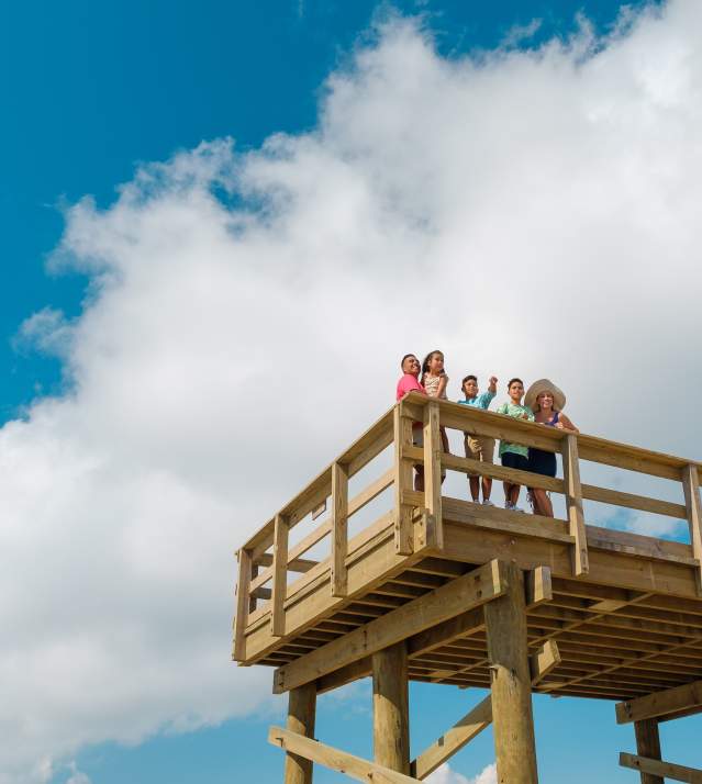 Family at Pier