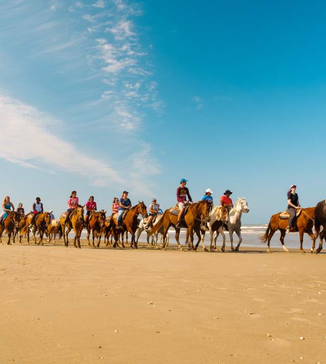 Horses on the Beach