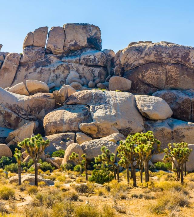 Rock Climbing in White Rocks, West Desert