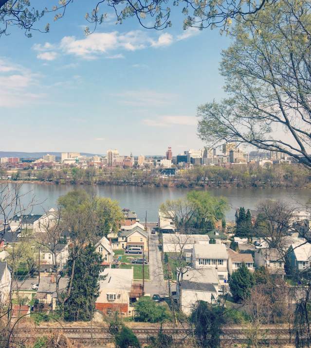 Aerial view of suburban homes near Negley Park, with a river in the background, framed by trees and greenery.