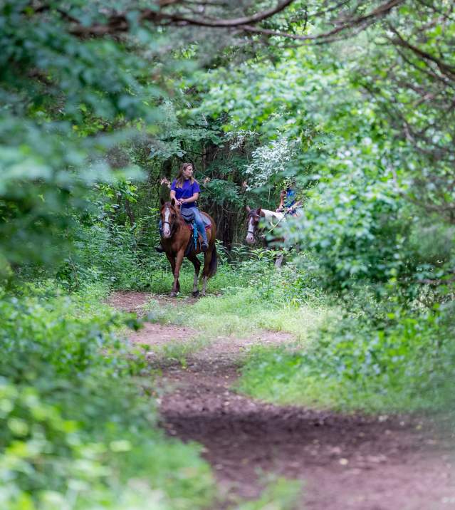 Jordan Hollow Stables