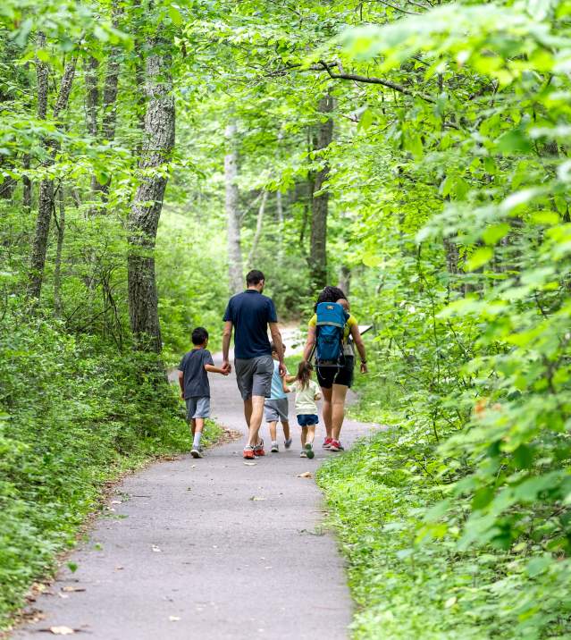 Family Hike in Page Valley, VA