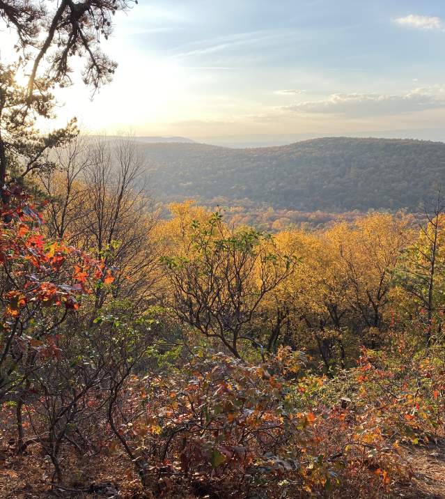 View from the top of King's Gap in the fall