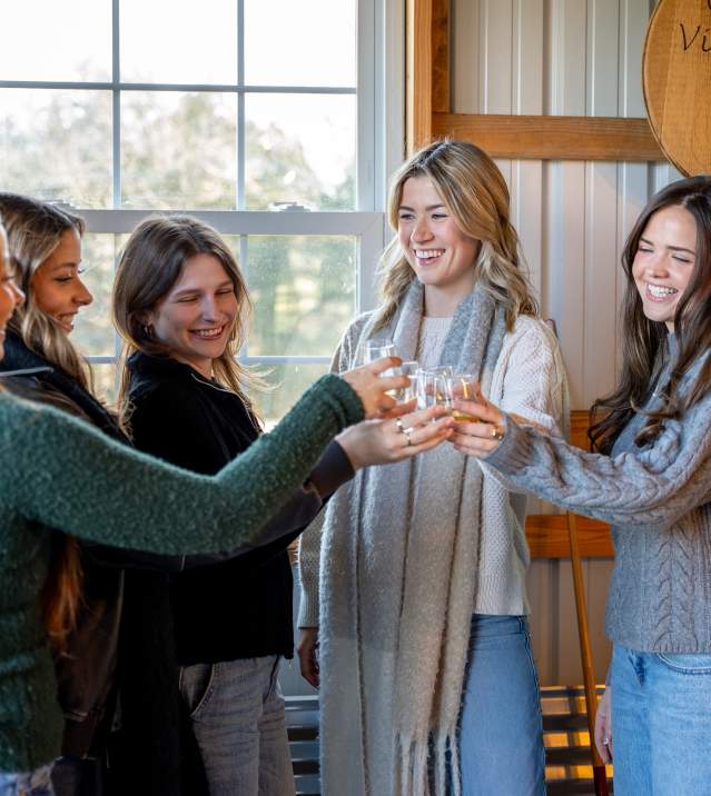 Castle Vineyard, Luray