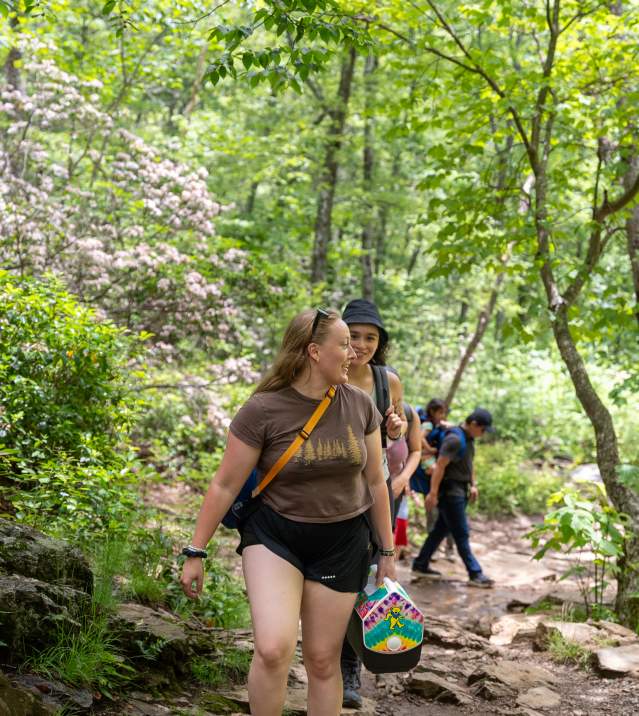 Hikers walk along a shaded forest trail in Page County, Virginia, surrounded by lush greenery, rocks, and tree cover on a summer day.