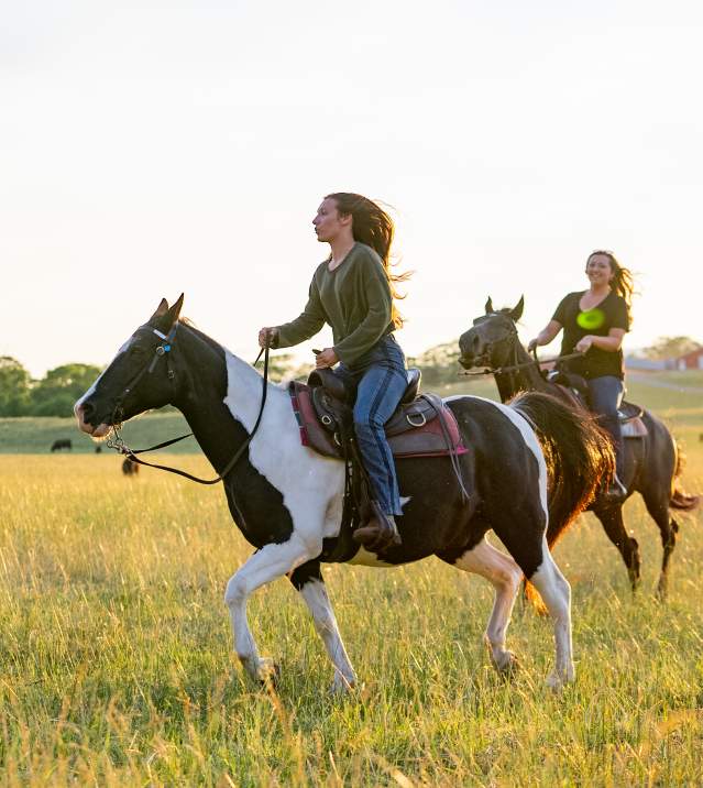 Horseback Riding in Page Valley, VA