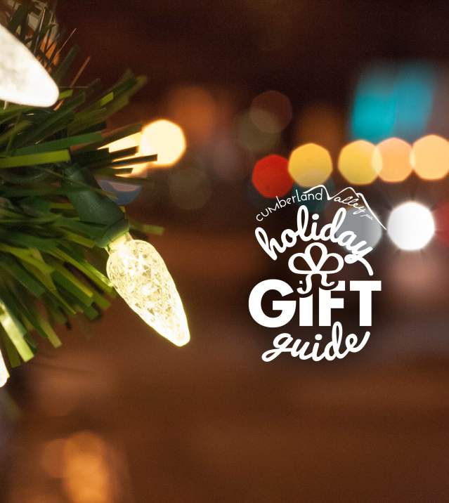 Christmas Tree Lights and Holiday Gift Guide Logo