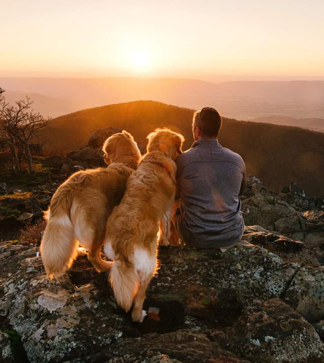 Shenandoah National Park dogs