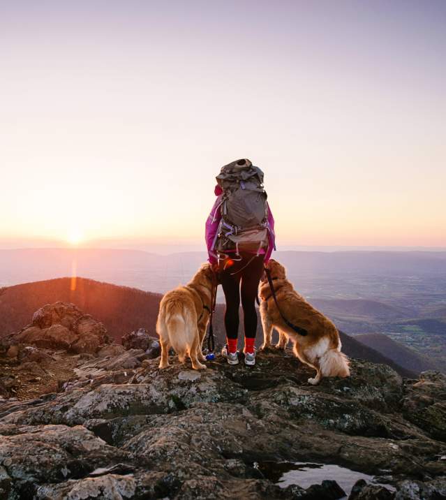 Winter Hikes in Shenandoah National Park