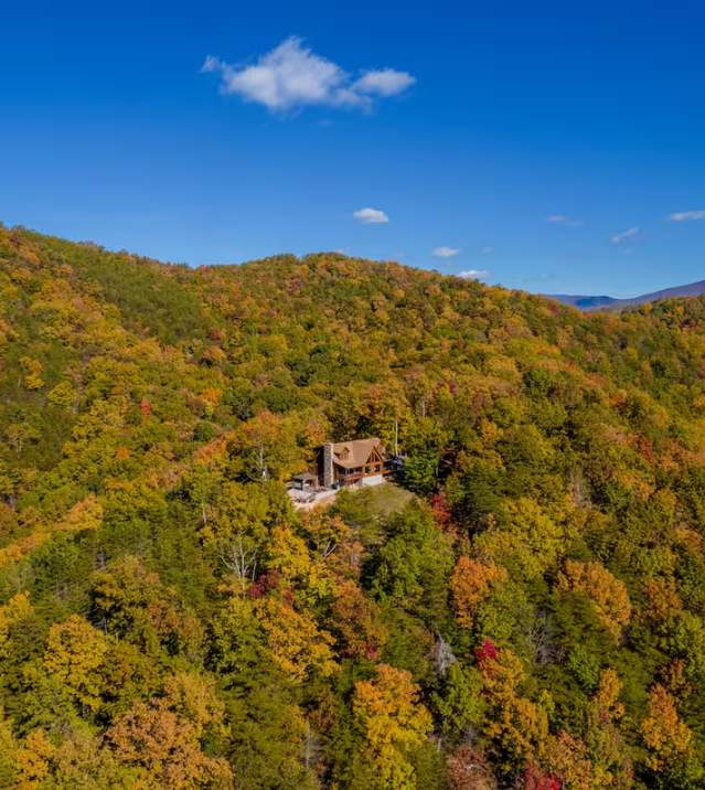 Bearloga Cabin