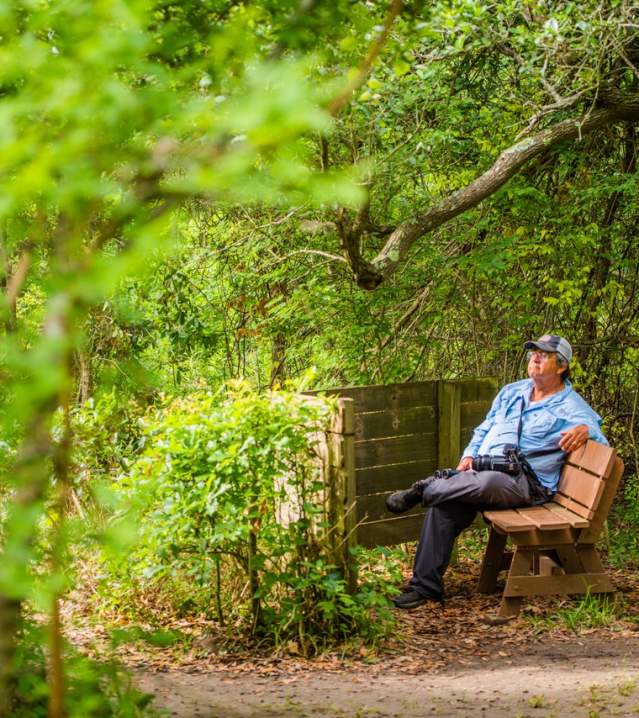 man observing nature