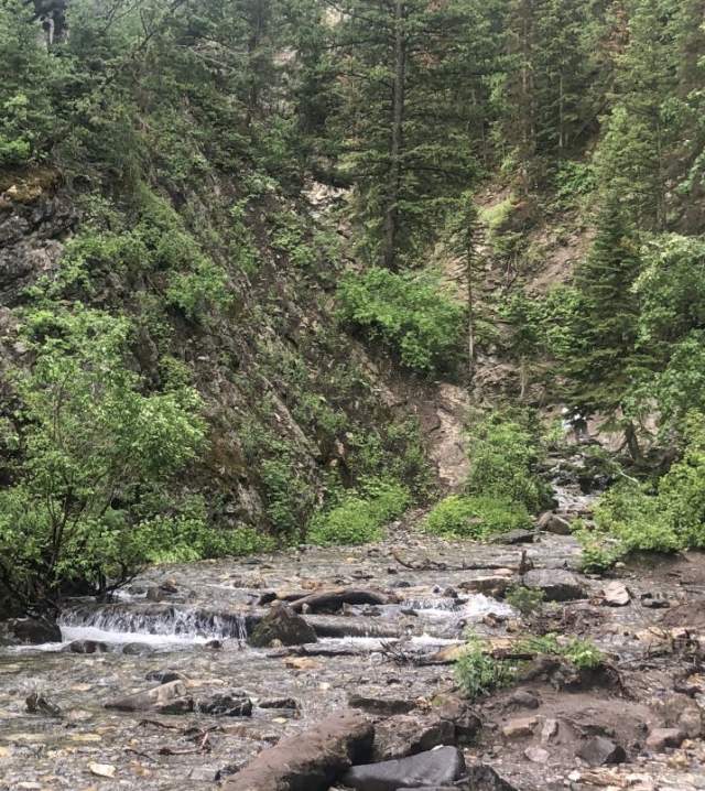 Creek running over rocky creekbed with brushy canyon walls around it