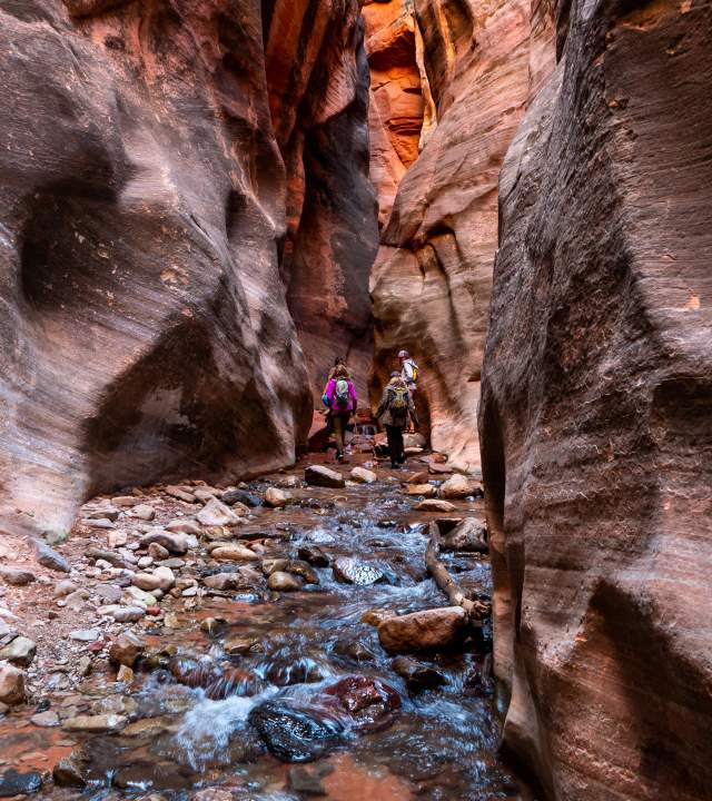 Canyon Hike