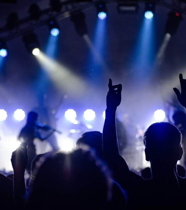 Concert Crowd and Lights