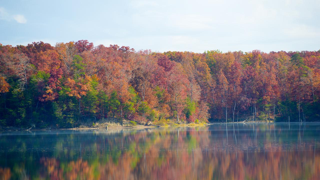 Deam Lake