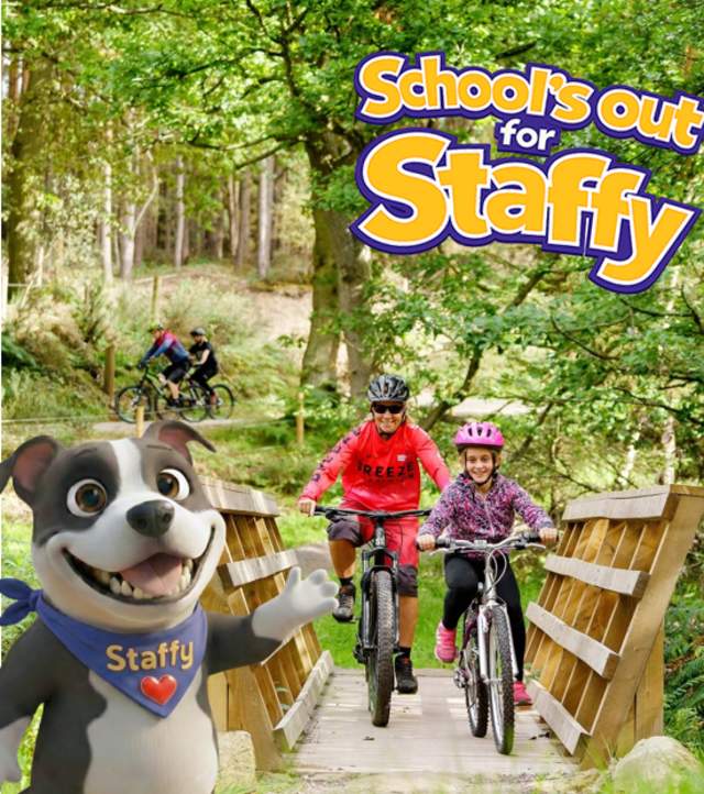 Infographic with Staffy visitor mascot in the foreground, adult and child riding bikes across a wooden bridge at Cannock Chase and Scholl's Out for Staffy logo.