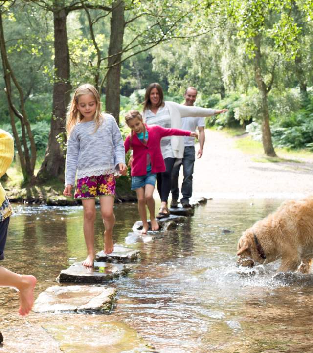 Cannock Chase Family Days Out family crosses stream stepping stones