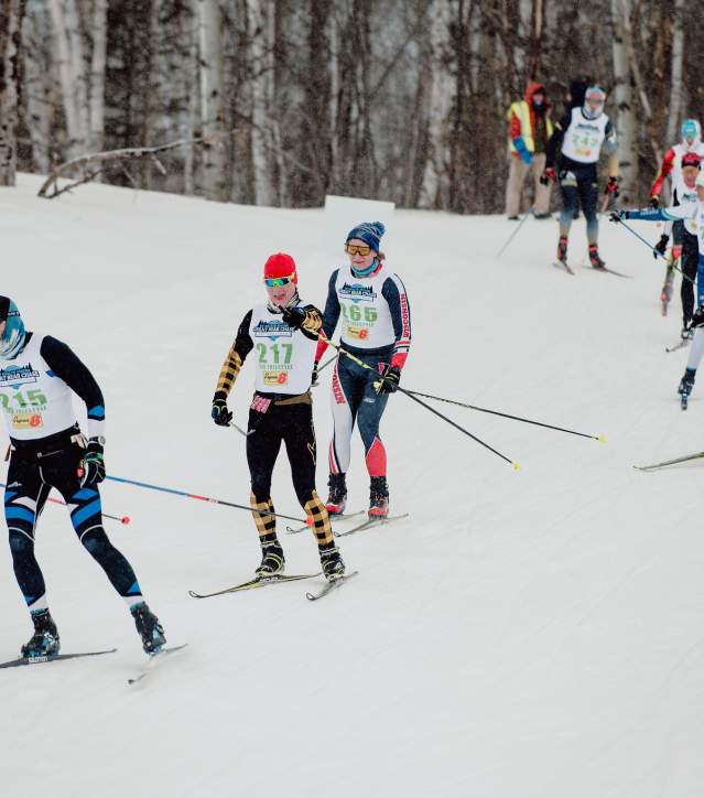 cross country skiers glide down a snowy hill