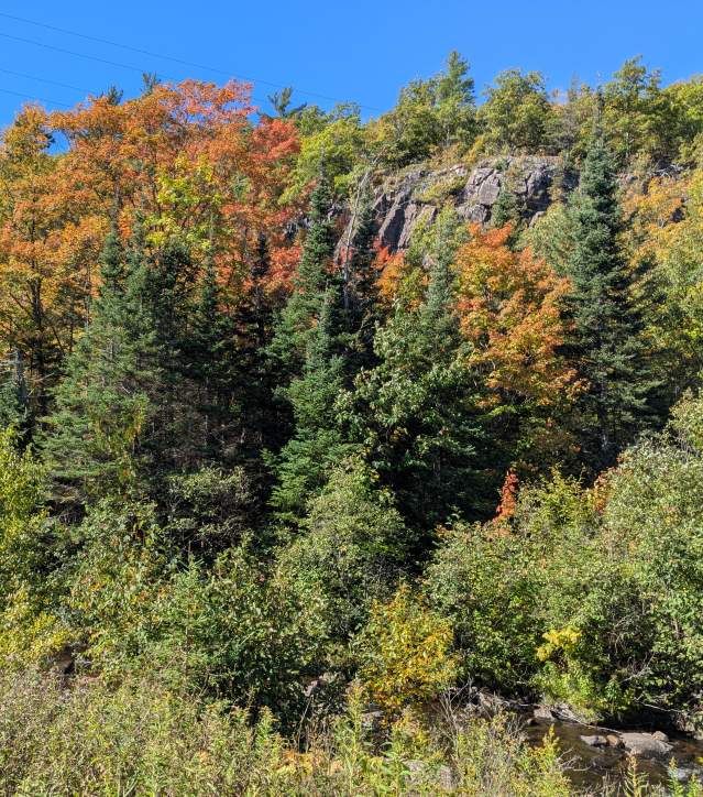 Fall Colors in Phoenix