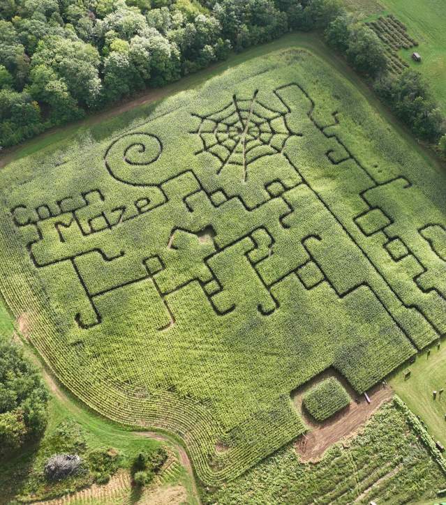 Palosaari Corn Maze