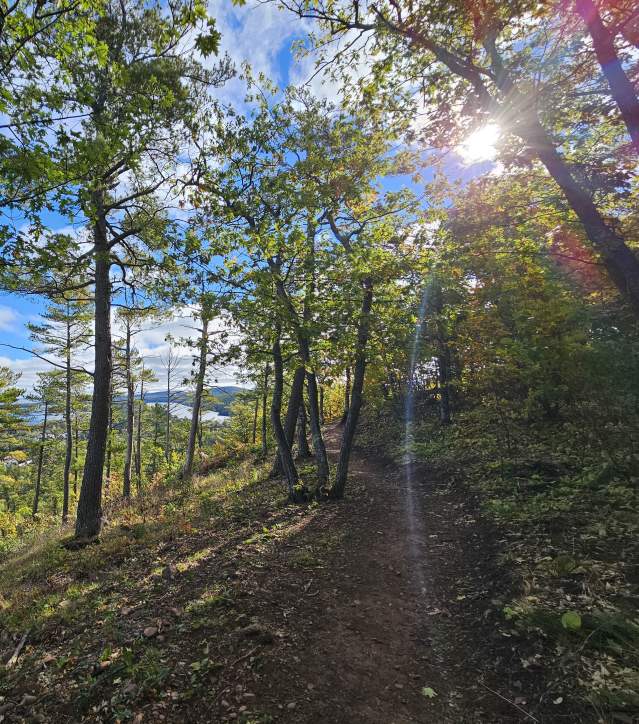 a trail winds through a cliffside forest with lakeside overlook