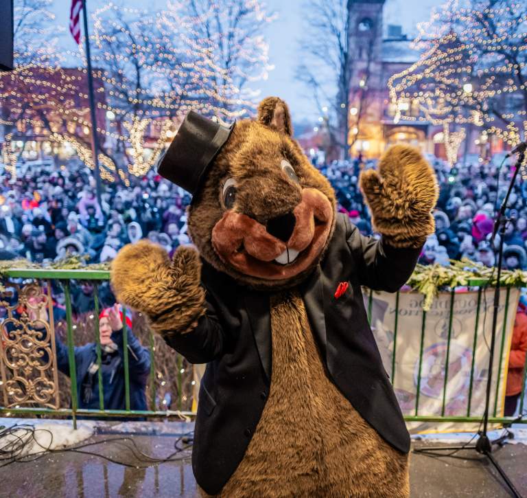 A furry, life-sized groundhog costume with hands out and a crowd of people behind.