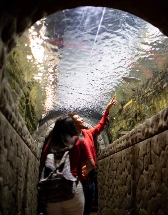 EC Aquarium