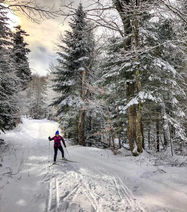 cross country skier, nordic skier, in the winter forest