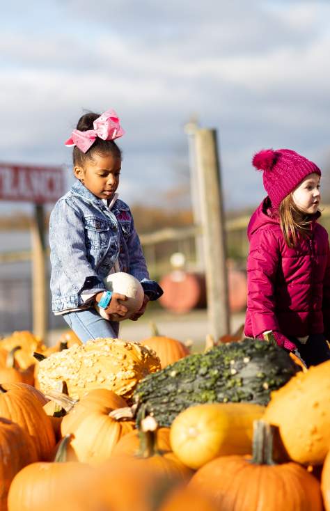 Roba Family Farms