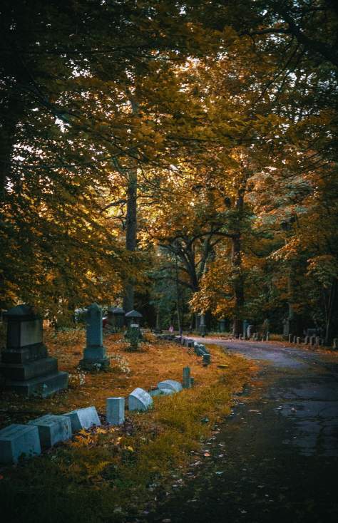 Forest Hills Cemetery in Dunmore, PA