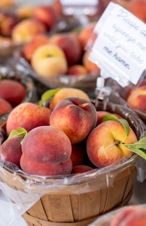 Co-Op Farmers Market in Scranton, PA