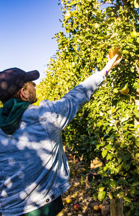 Lakeland Orchard & Cidery 2022