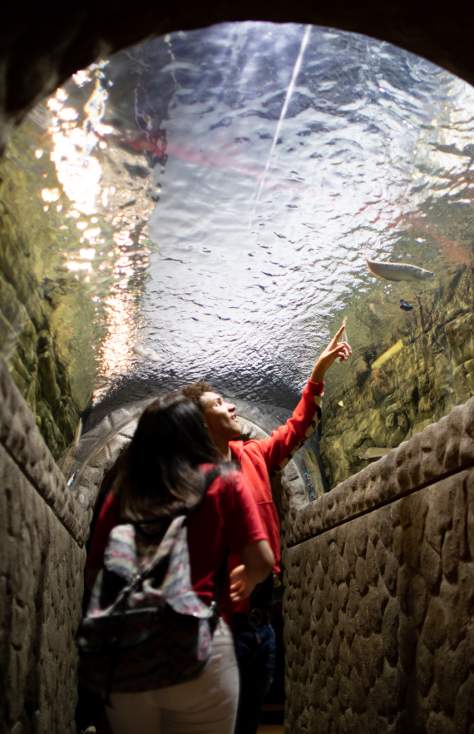 EC Aquarium
