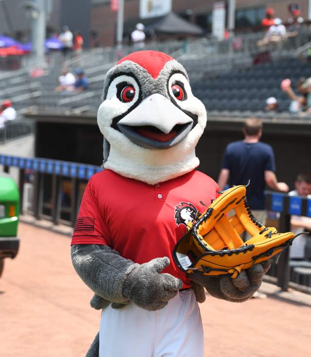 Fayetteville Woodpecker's Baseball Team Mascot