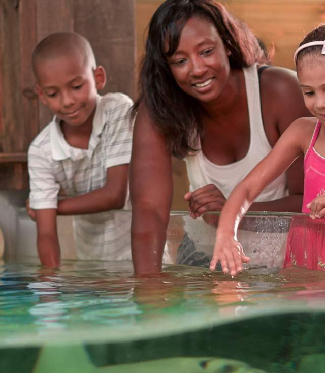 Mom and Kids petting stingrays at the Fort Wayne Children's Zoo