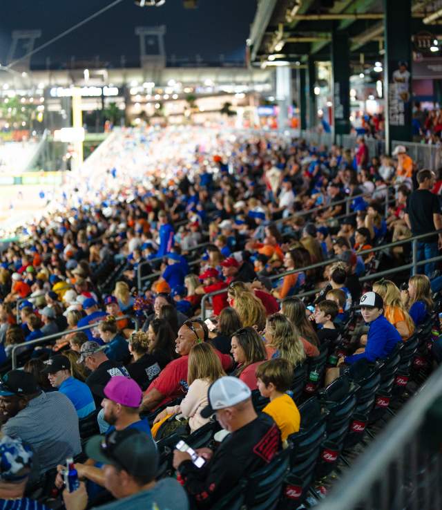 Ballpark Crowd