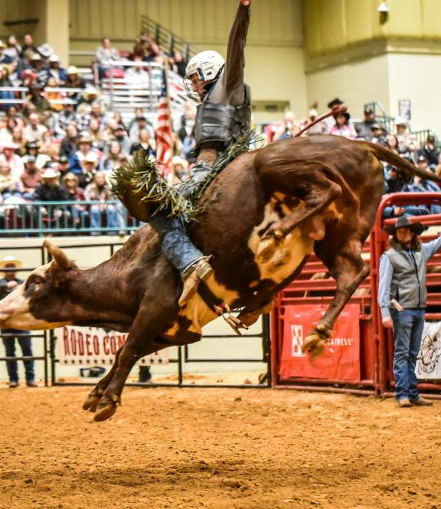 Rodeo
