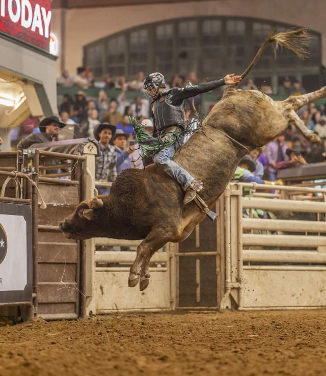 Bull Riding