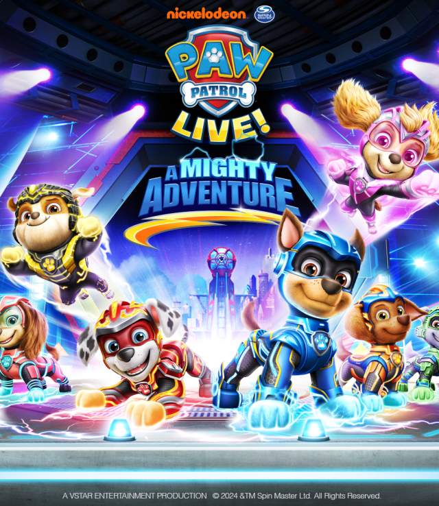 Paw Patrol Graphic