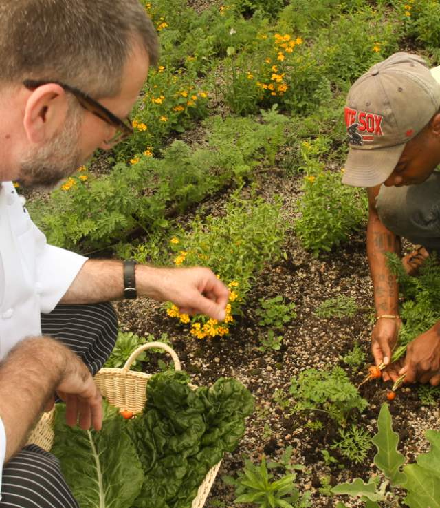 Savor Sustainability