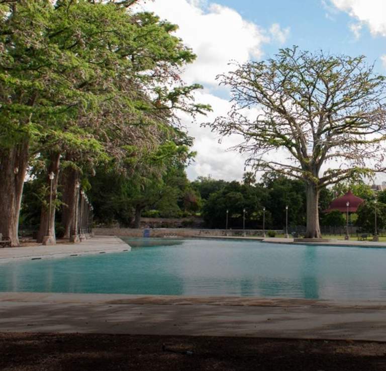 Park with trees and swimming pool