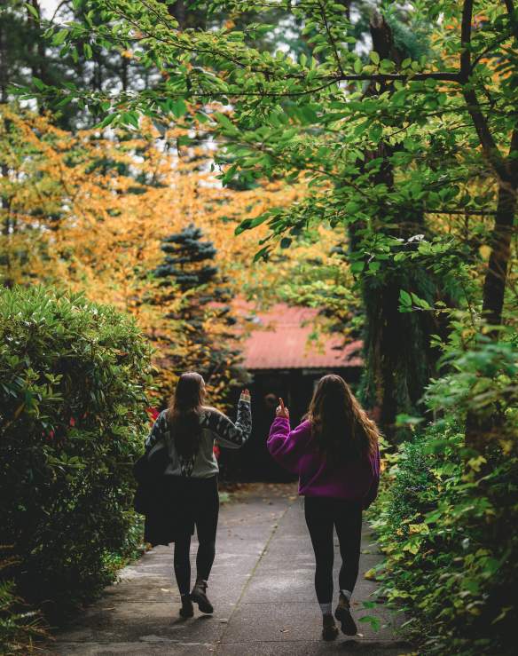 Two people stroll along a lush, tree-lined path with vibrant autumn foliage, heading toward a small building ahead.