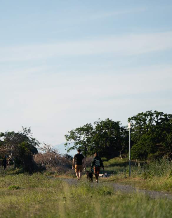 Two people walk a dog along a sunlit trail surrounded by grass and trees, with others visible in the distance.